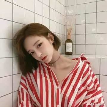 嘘,国王在冬眠
